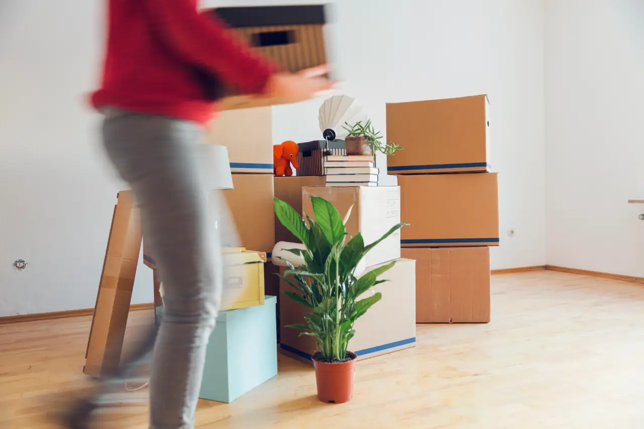 move-in move-out cleaning services