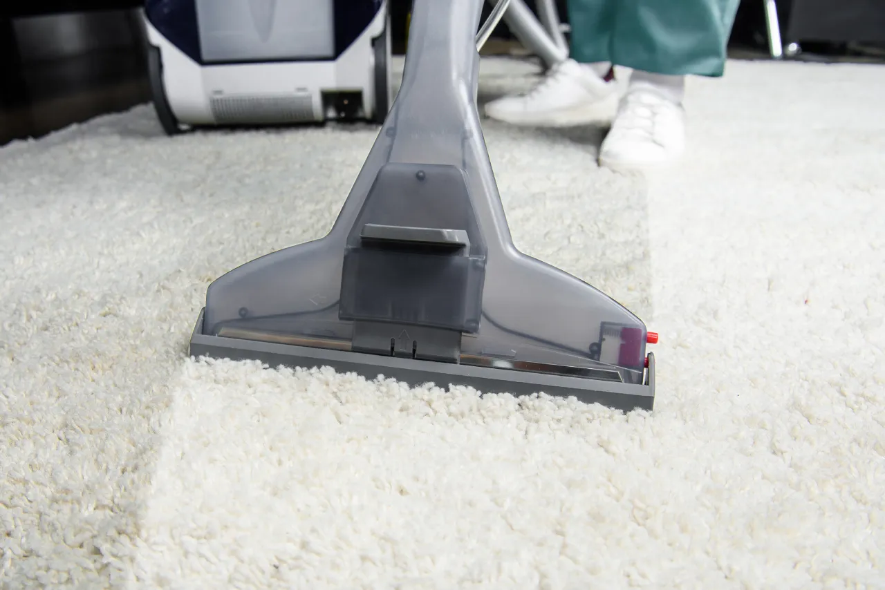 carpet cleaner cleans light carpet indoors at home